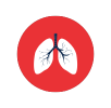Pulmonology
